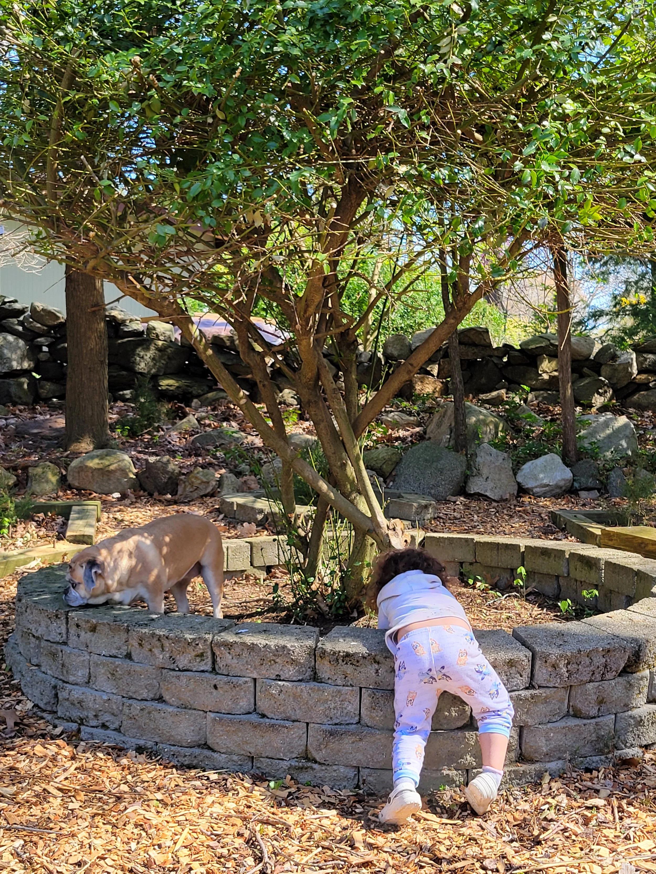 Gardening 7.jpg