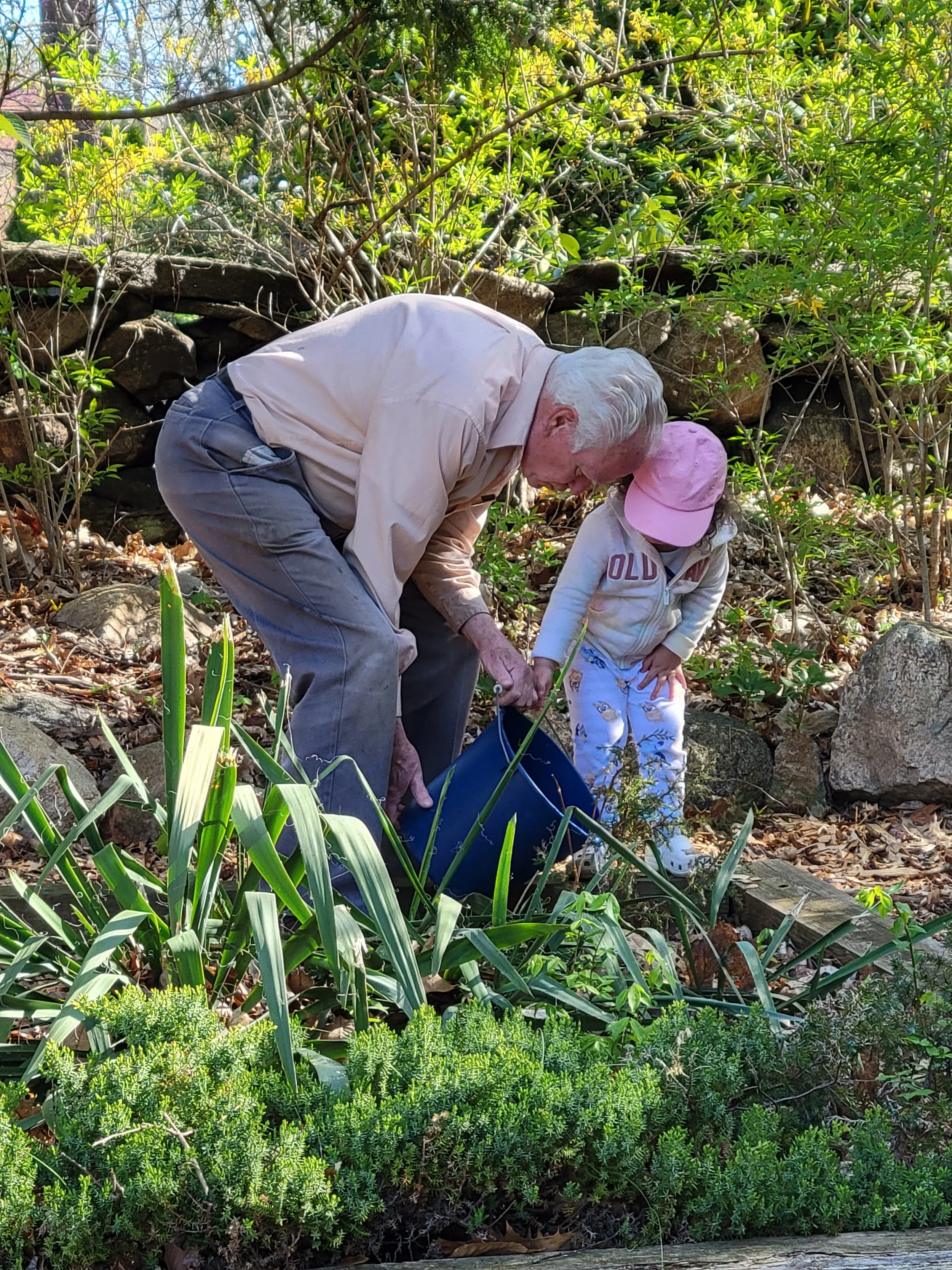 Garden Work 3.jpg