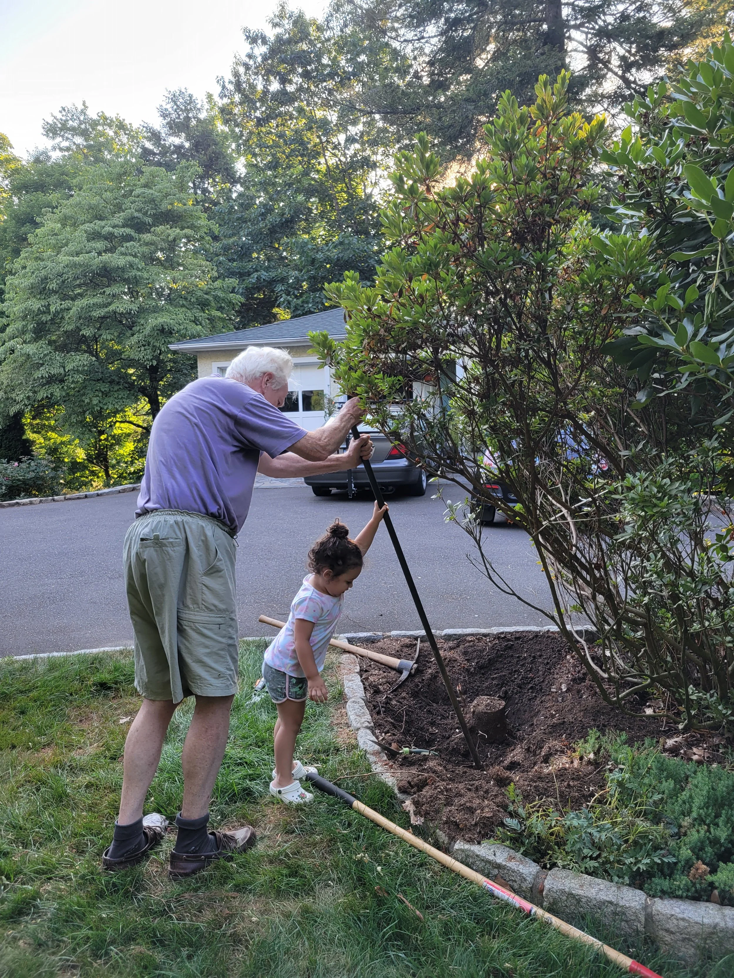 Garden Work 9.jpg