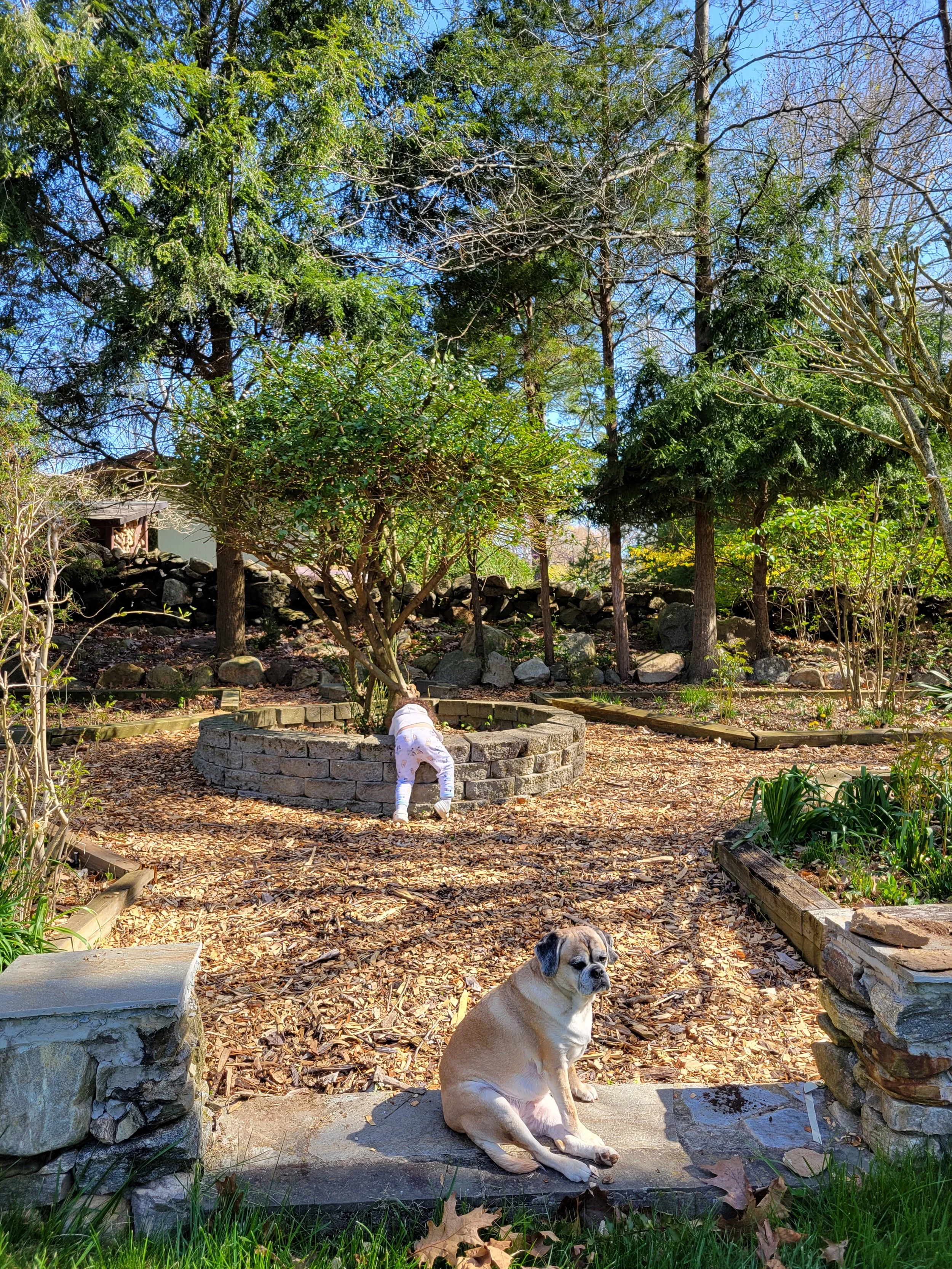 Garden Work 6.jpg