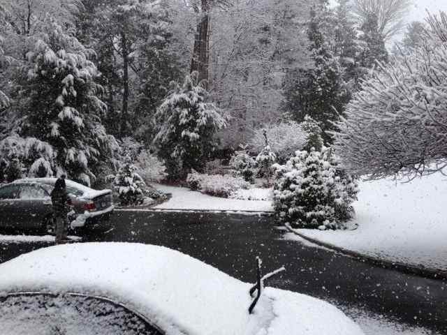 Winter 3.JPG