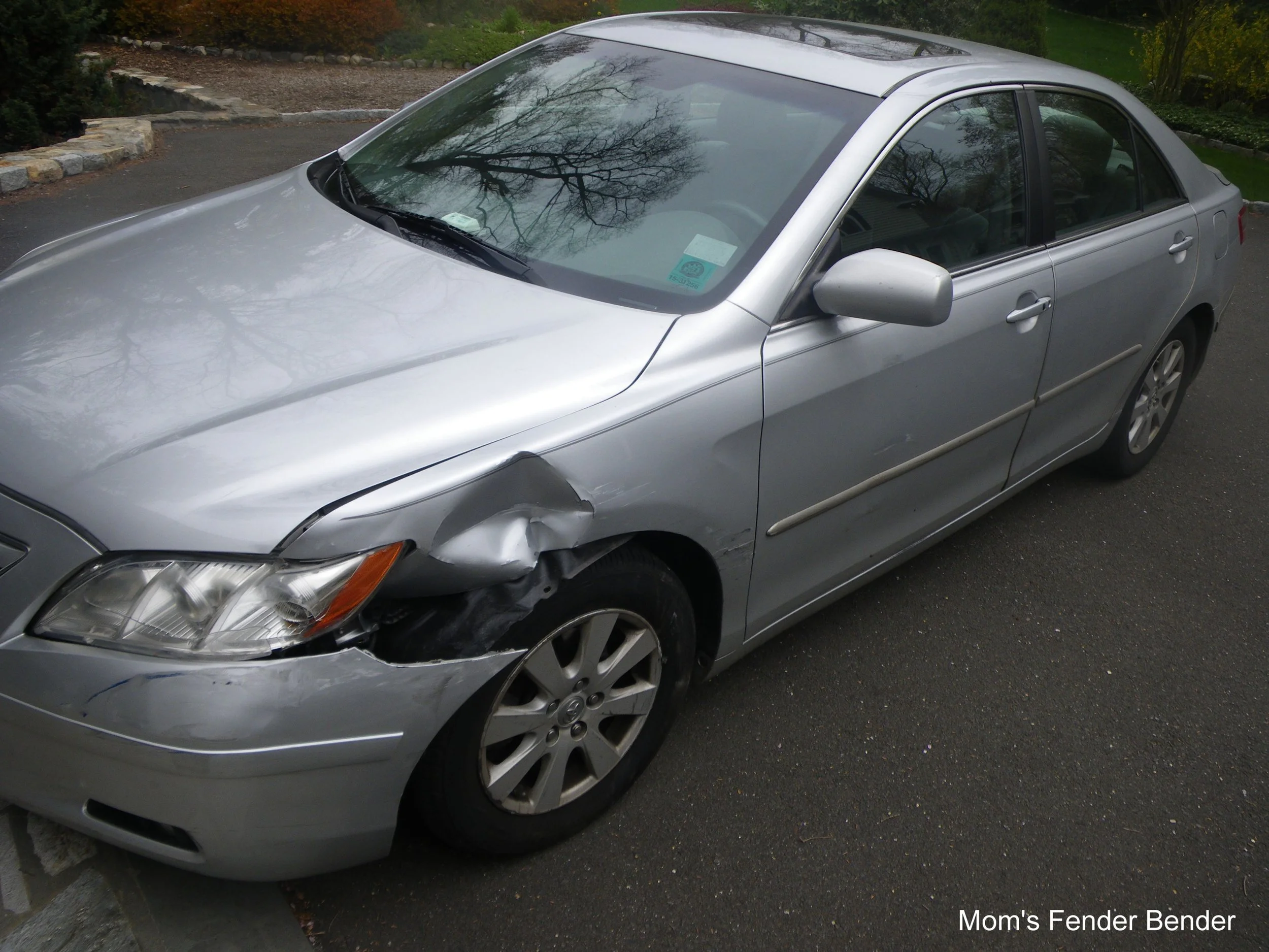 Mom's Fender Bender.JPG