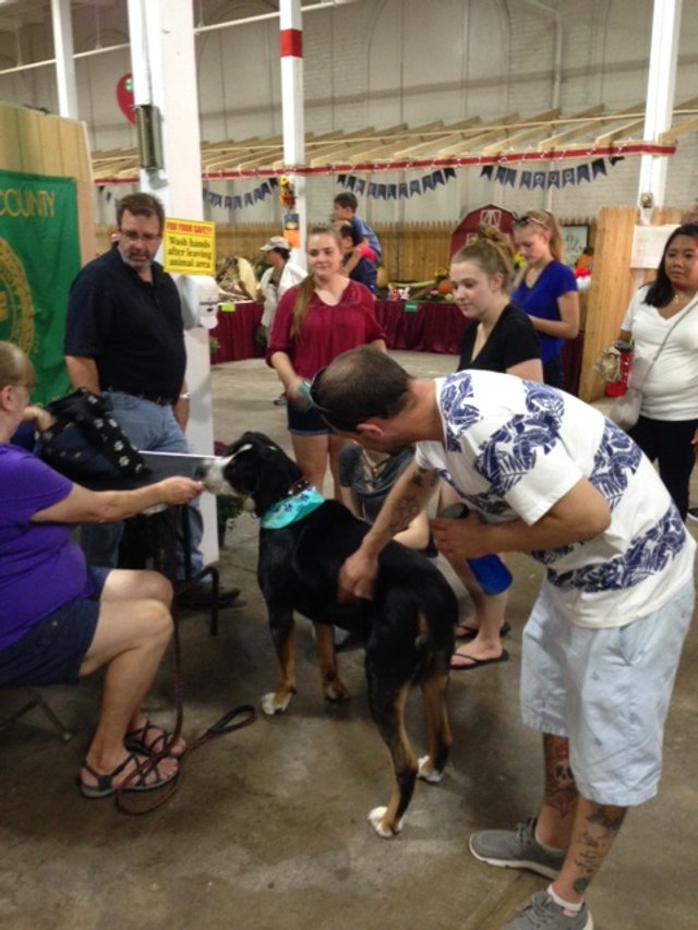 Big E Fair-c.JPG
