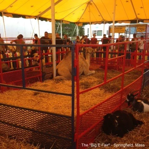 Big E Fair- Springfield MA.JPG