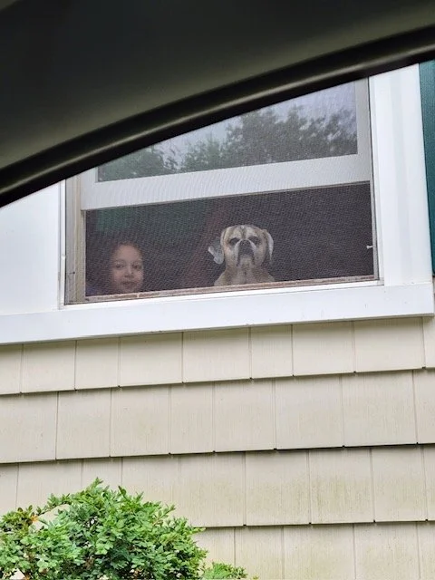 Resized_Resized_20230626_083859 (1).jpeg