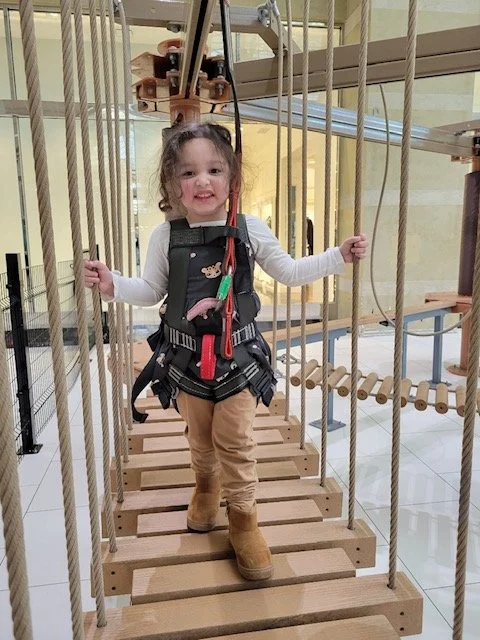 Palisades Mall 1.jpeg