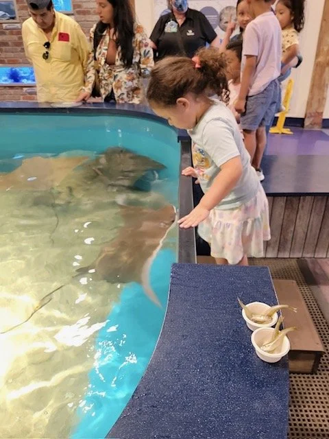 Norwalk Aquarium 2.jpeg