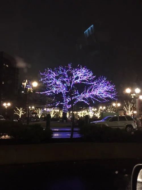 Christmas Stamford.JPG