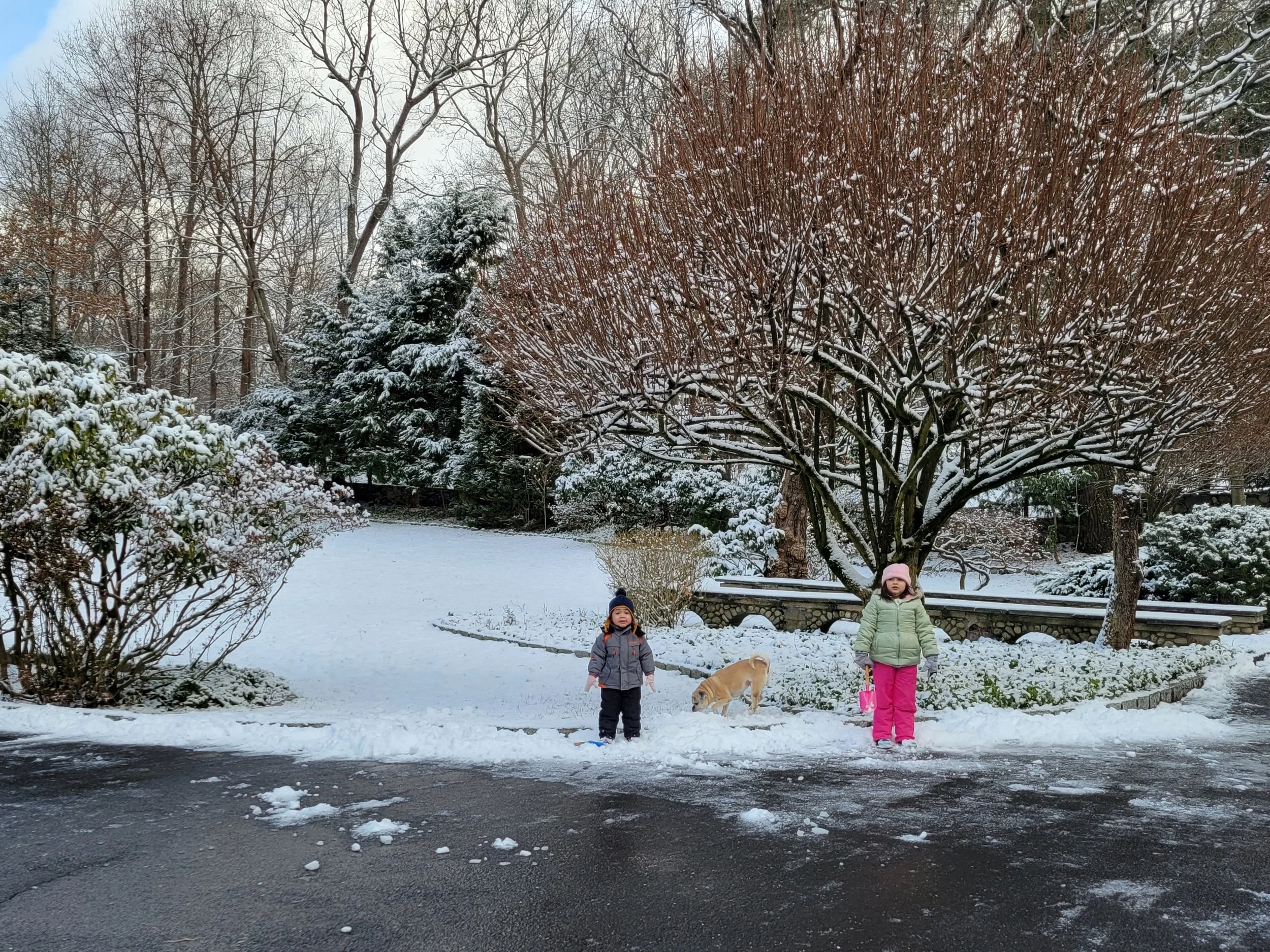 Snow Shots 1.JPEG