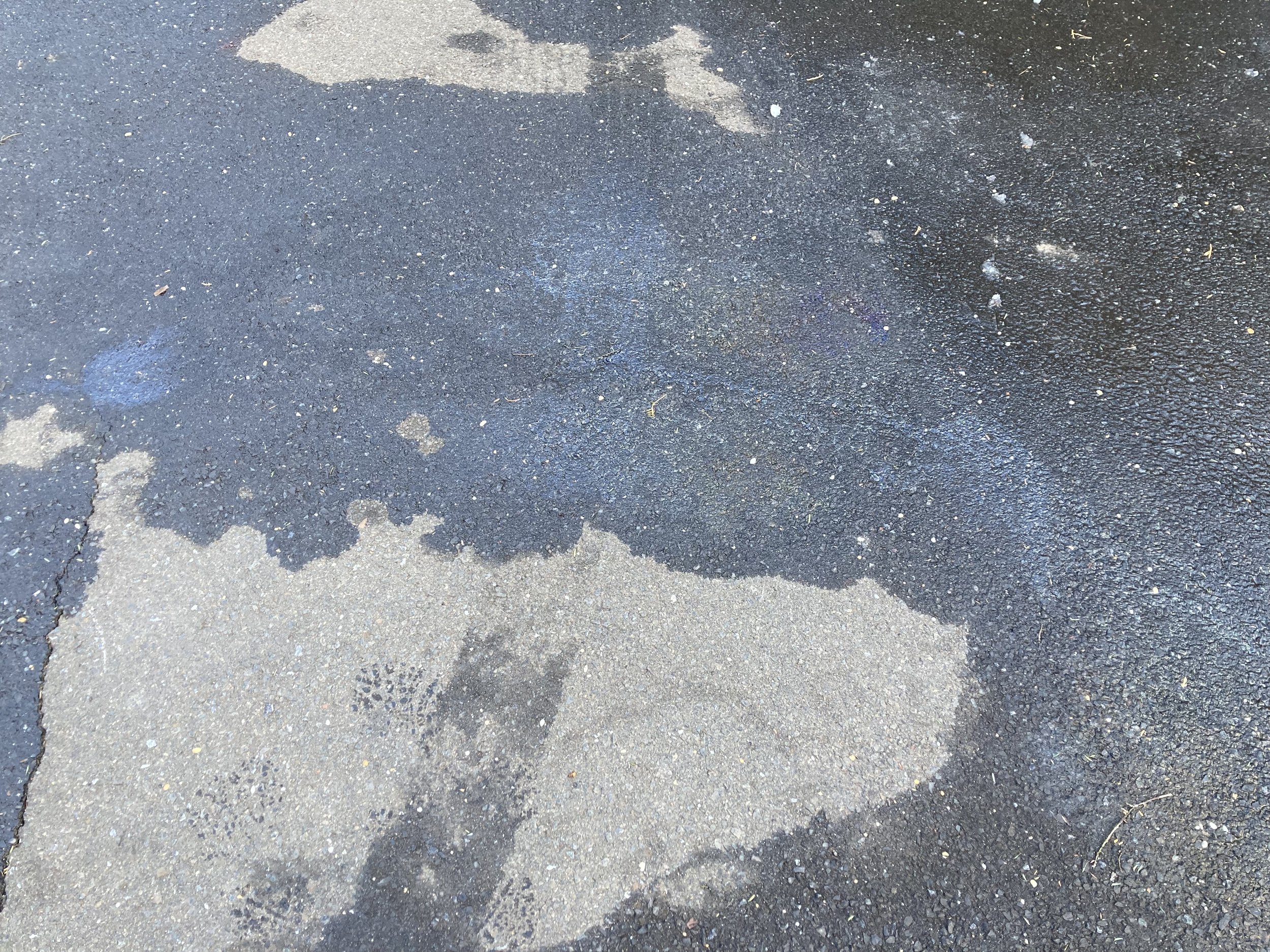 Honda2.jpg