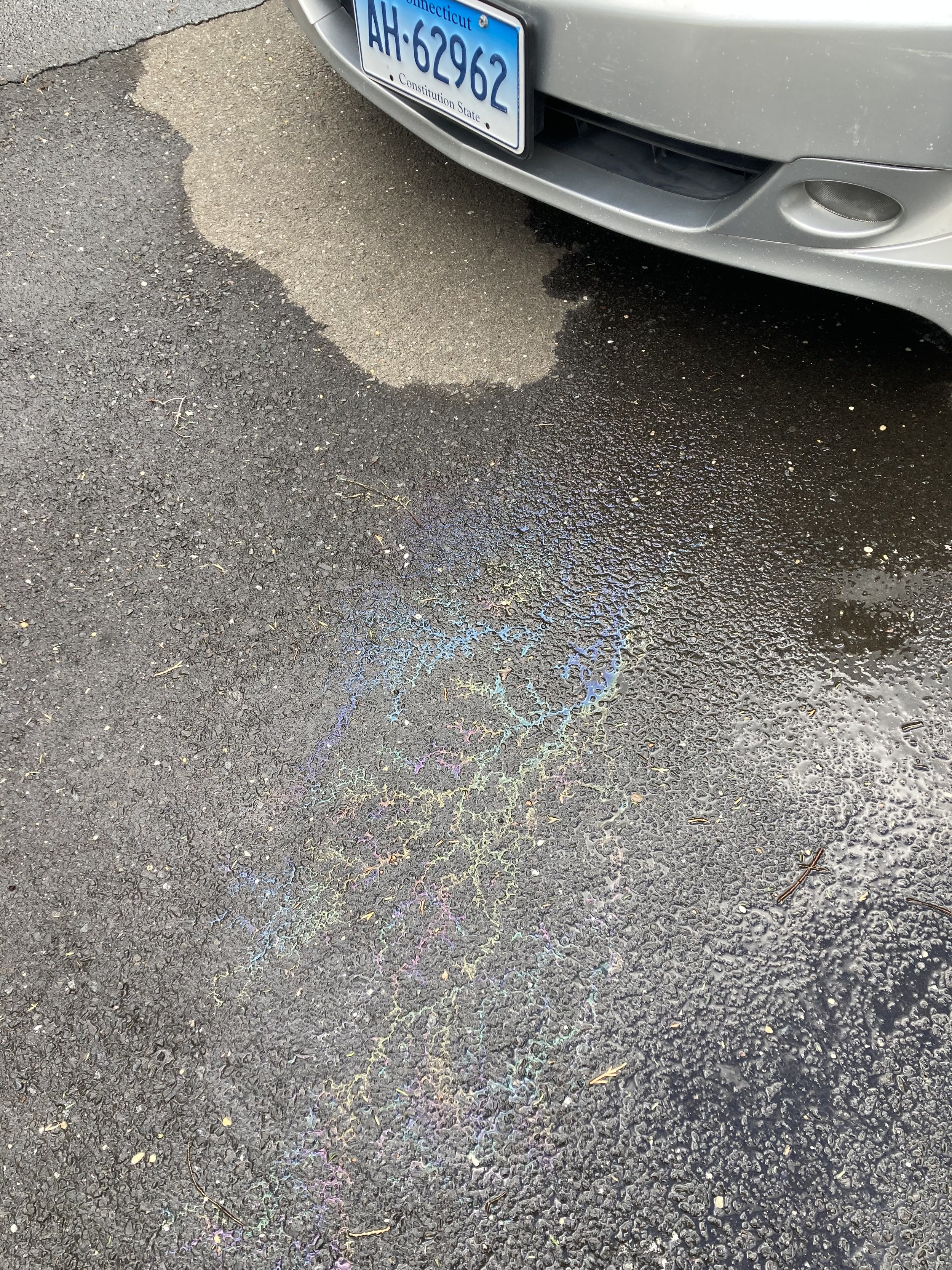 Honda1.jpg