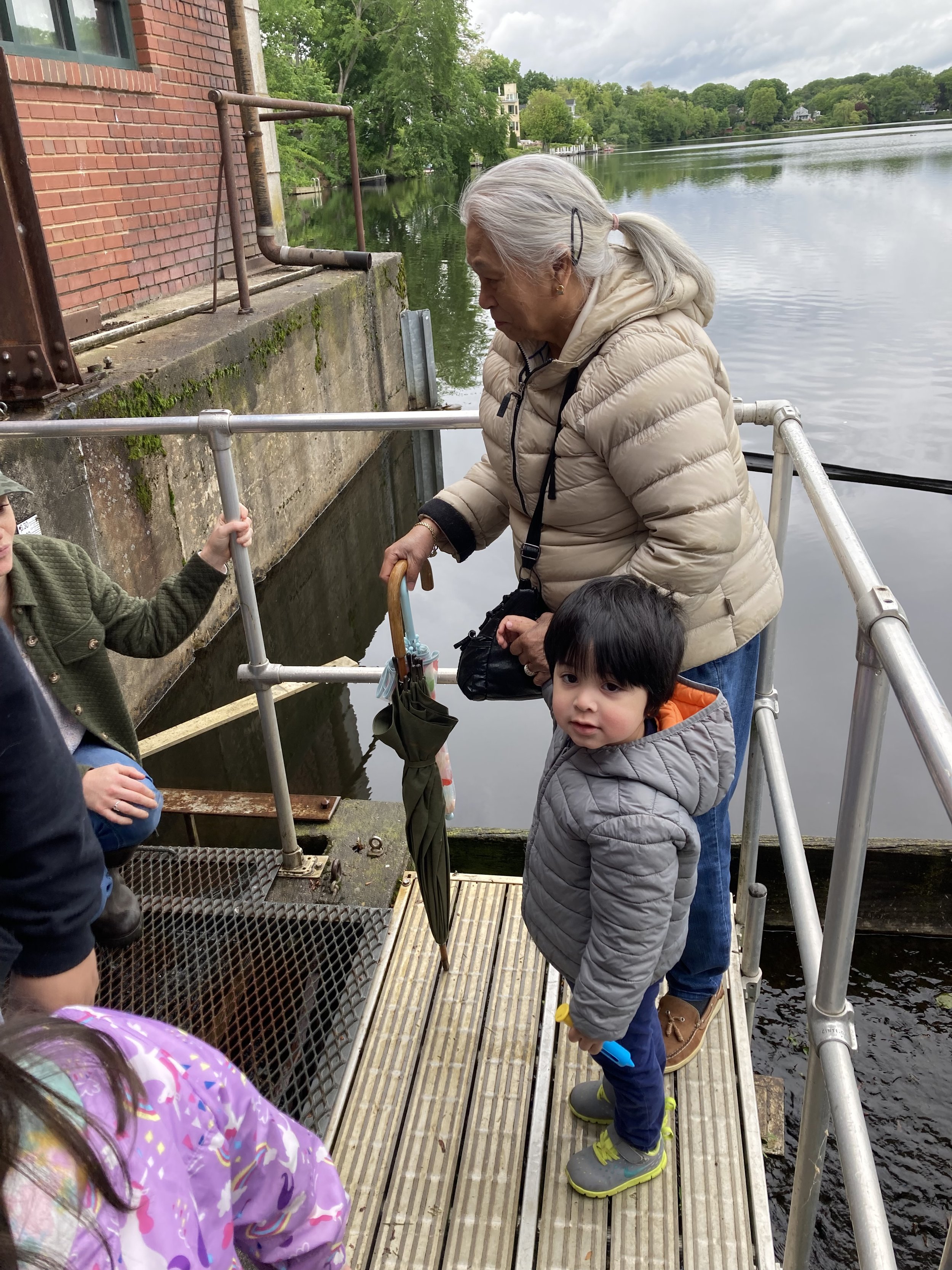 Mianus River Fishway 6.jpg