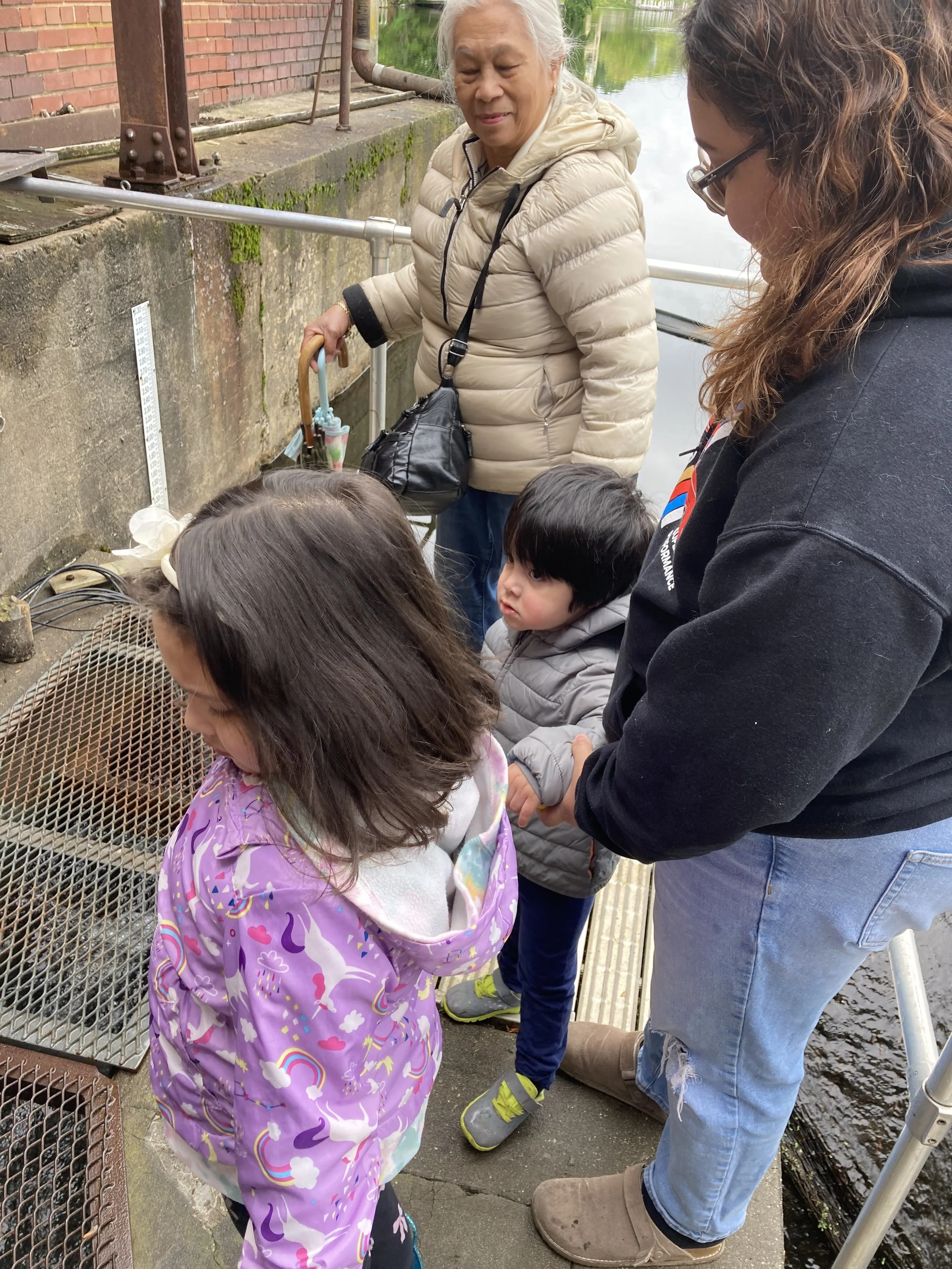 Mianus River Fishway 4.jpg