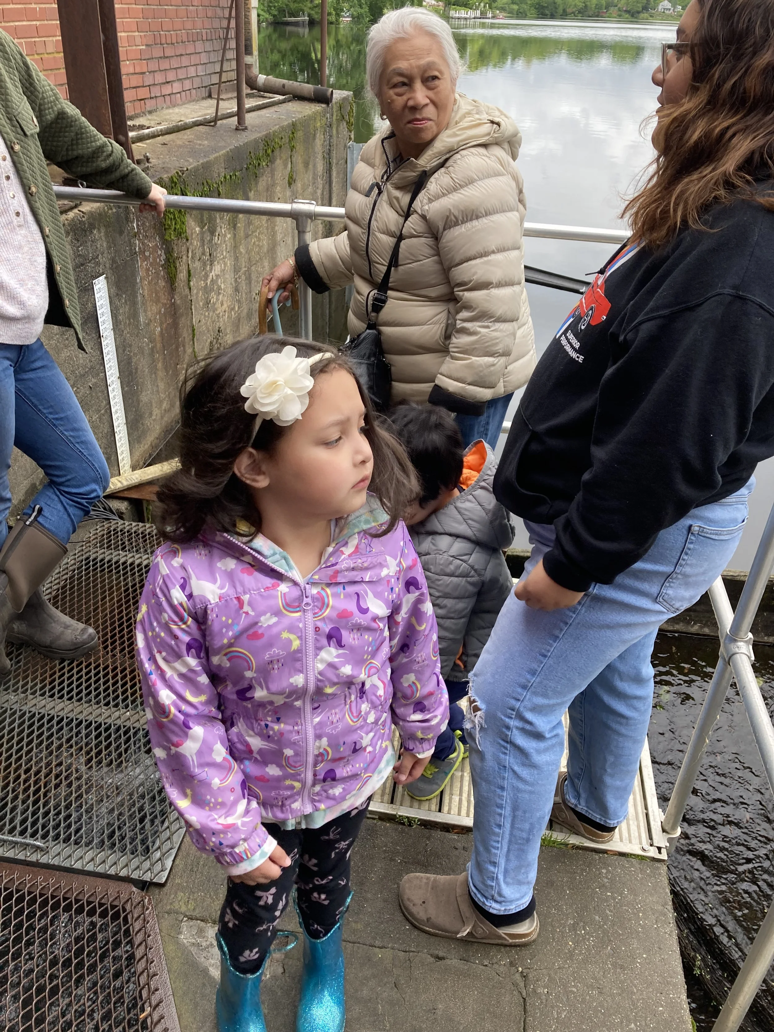 Mianus River Fishway 3.jpg