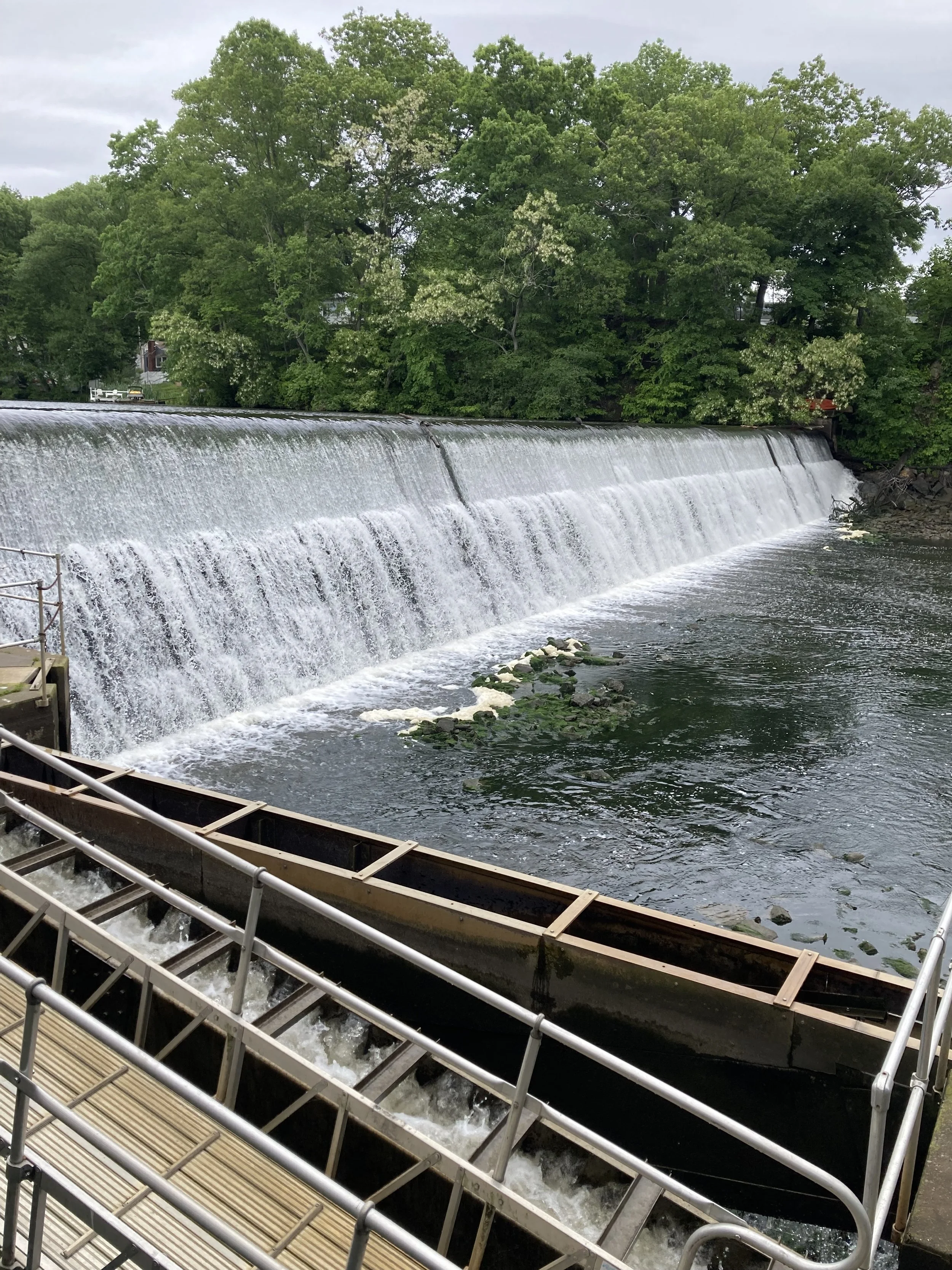 Mianus River Fishway 1.jpg