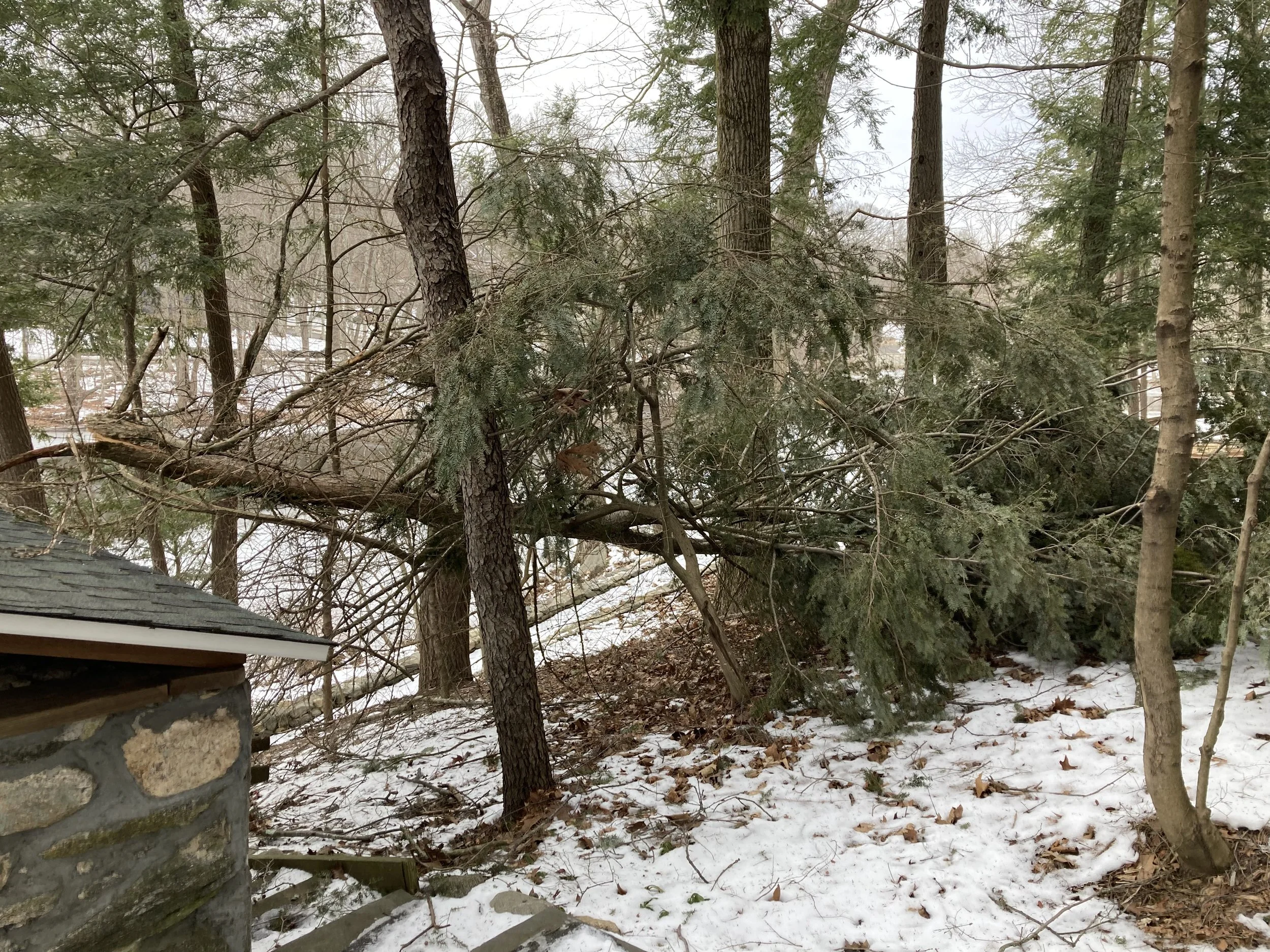 IMG_0278.jpg
