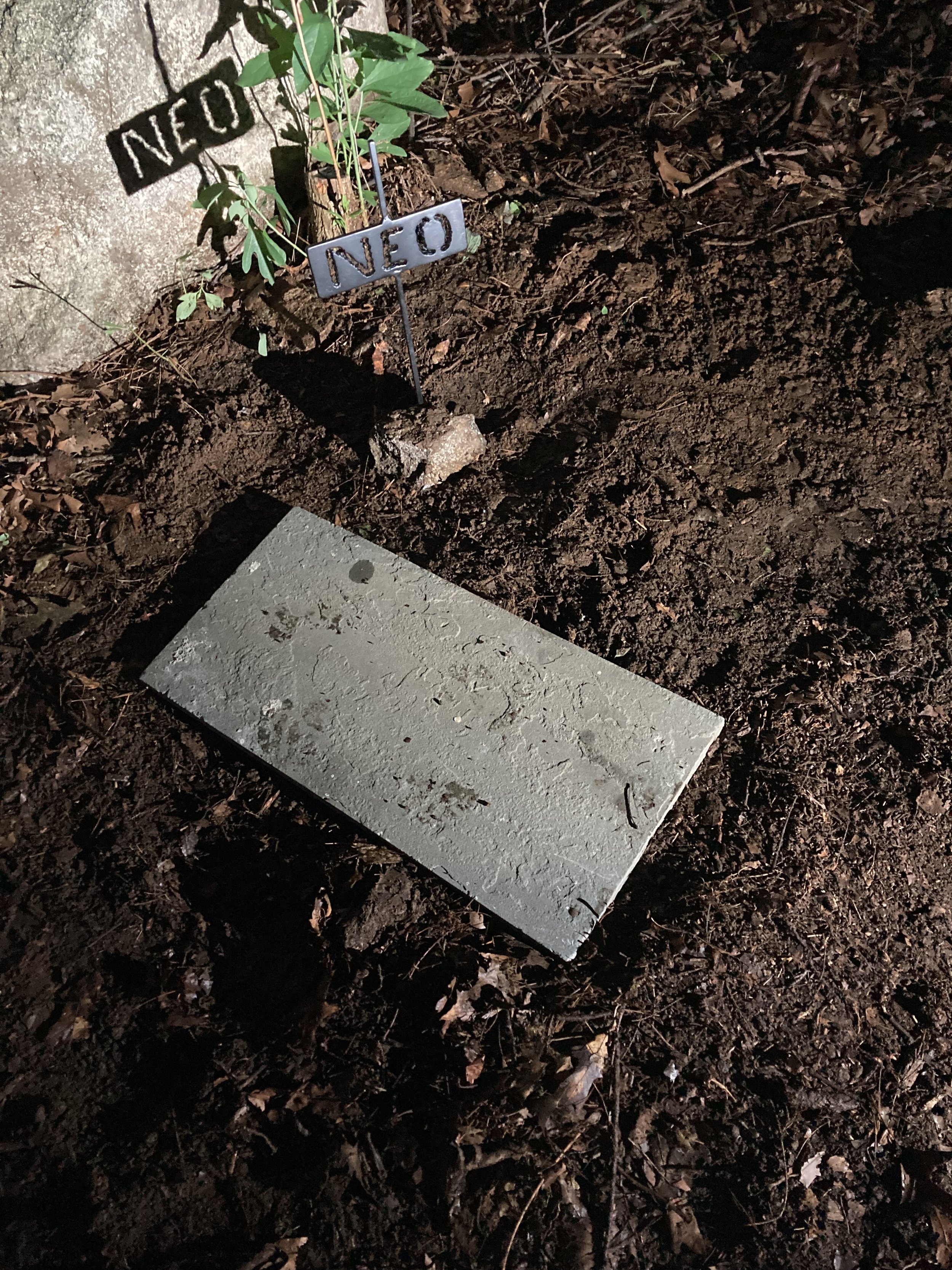 Ferret Neo's Burial 3.jpg