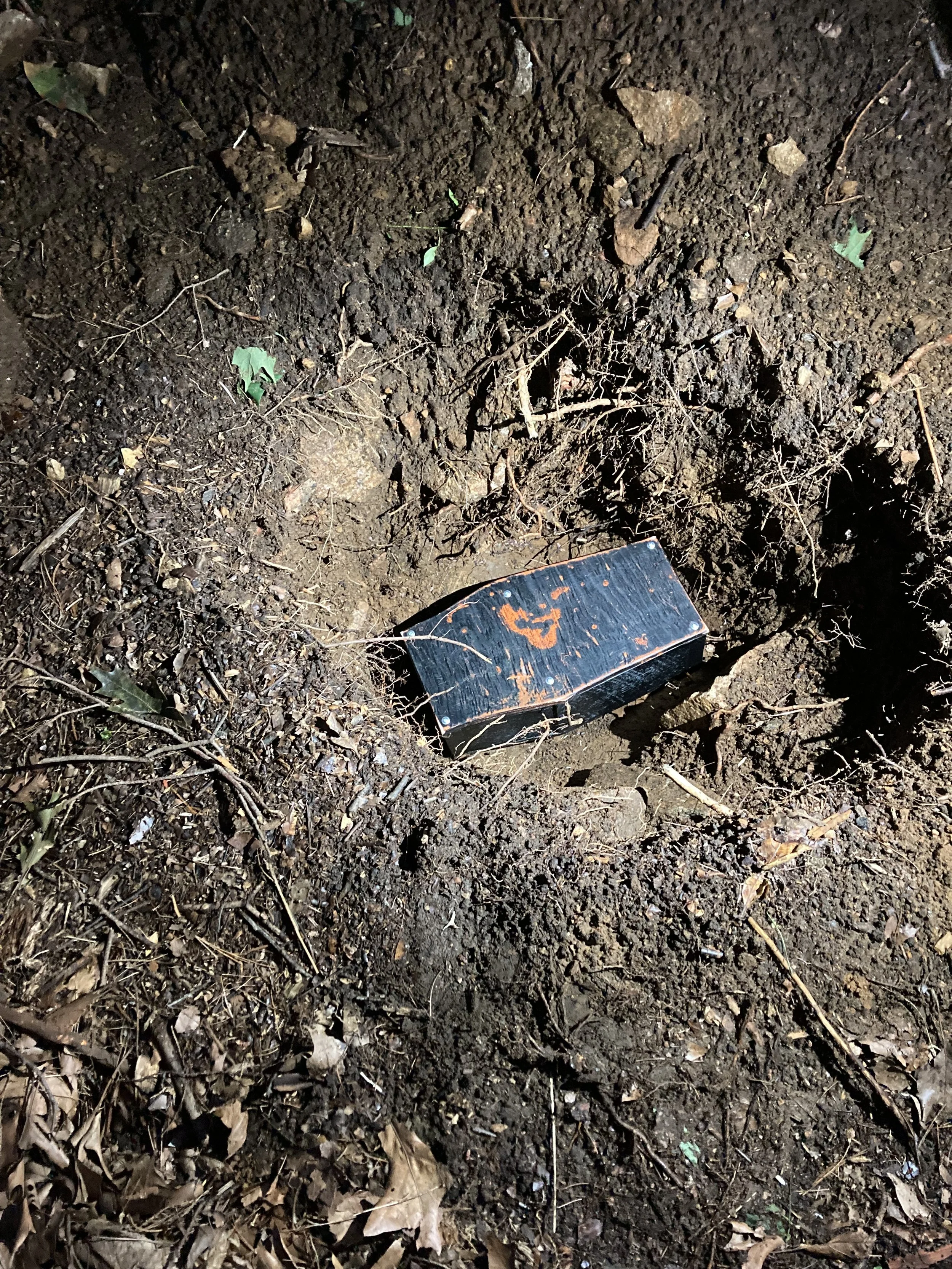 Ferret Neo's Burial 1.jpg
