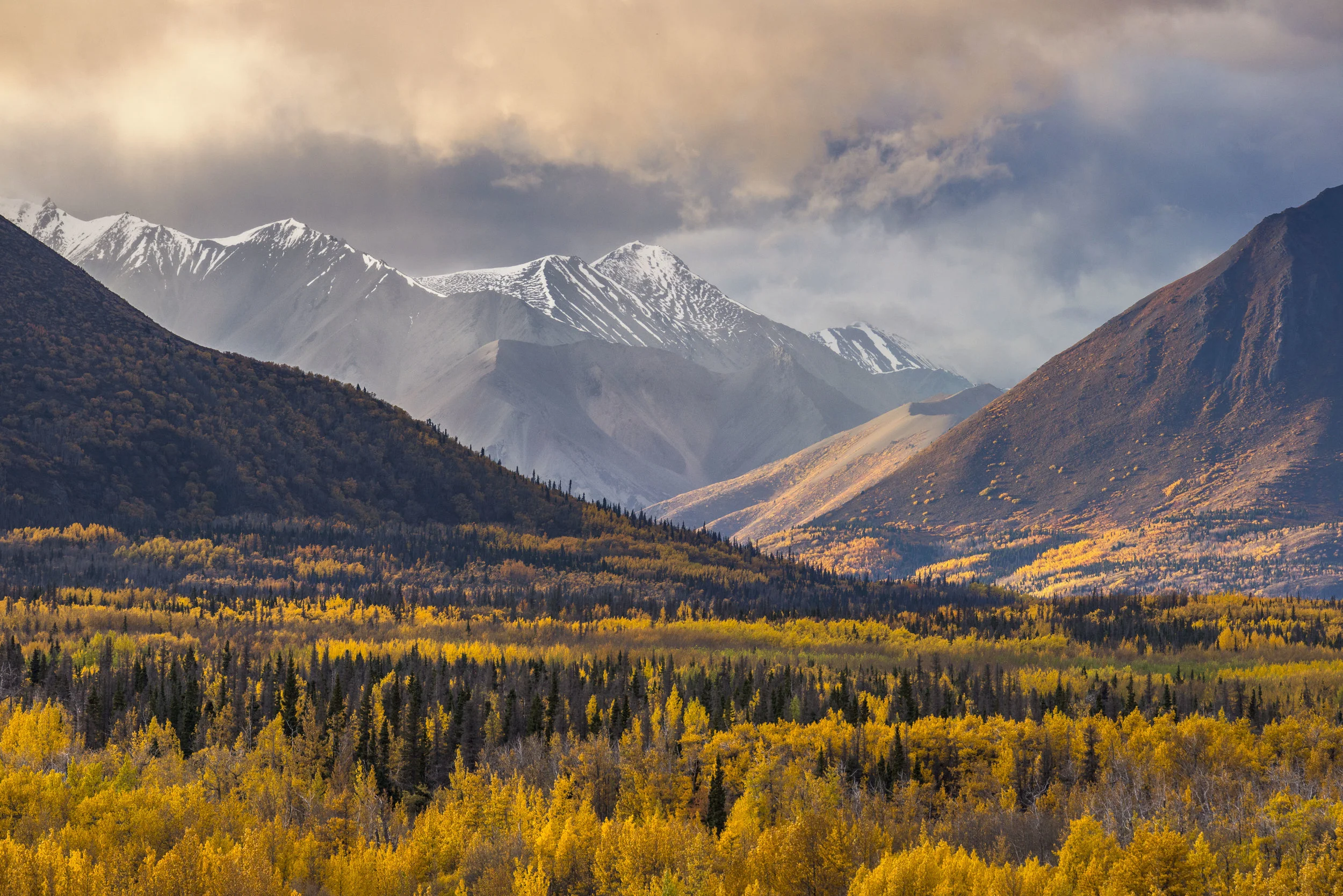 Fall colour workshops in Canada