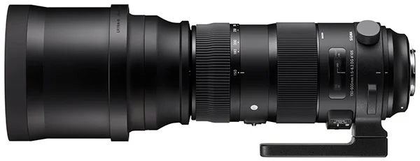 Sigma 150 600 Contemporary Vs Sport North Of 49 Photography