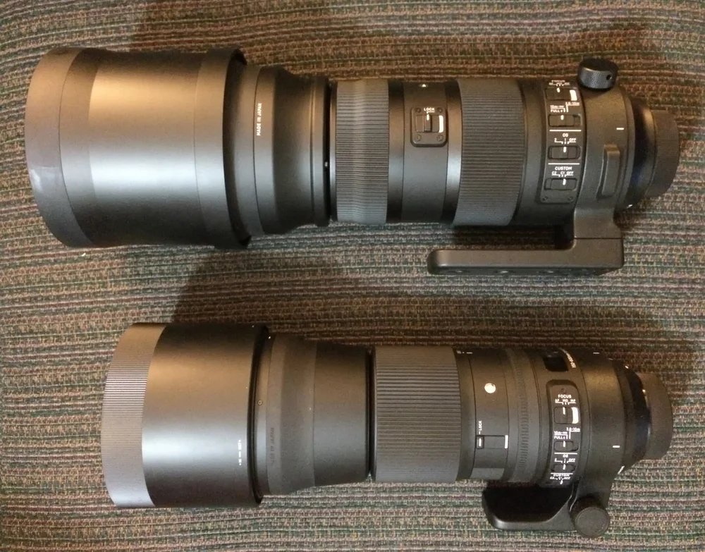 Sigma 150 600 Contemporary Vs Sport North Of 49 Photography