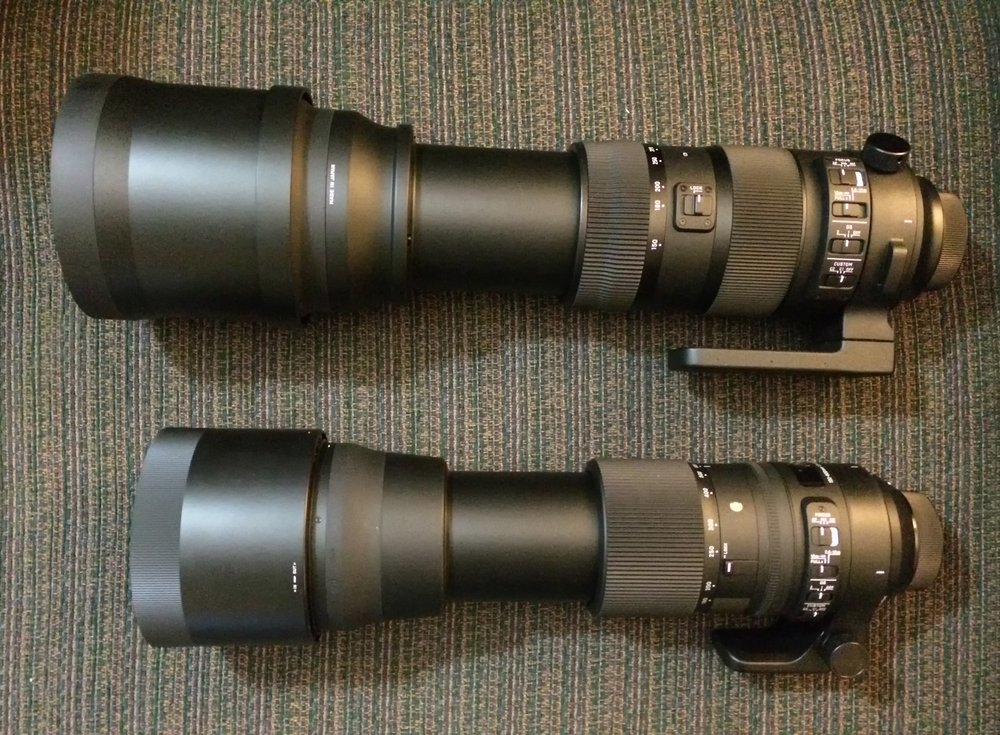 Sigma 150 600 Contemporary Vs Sport North Of 49 Photography