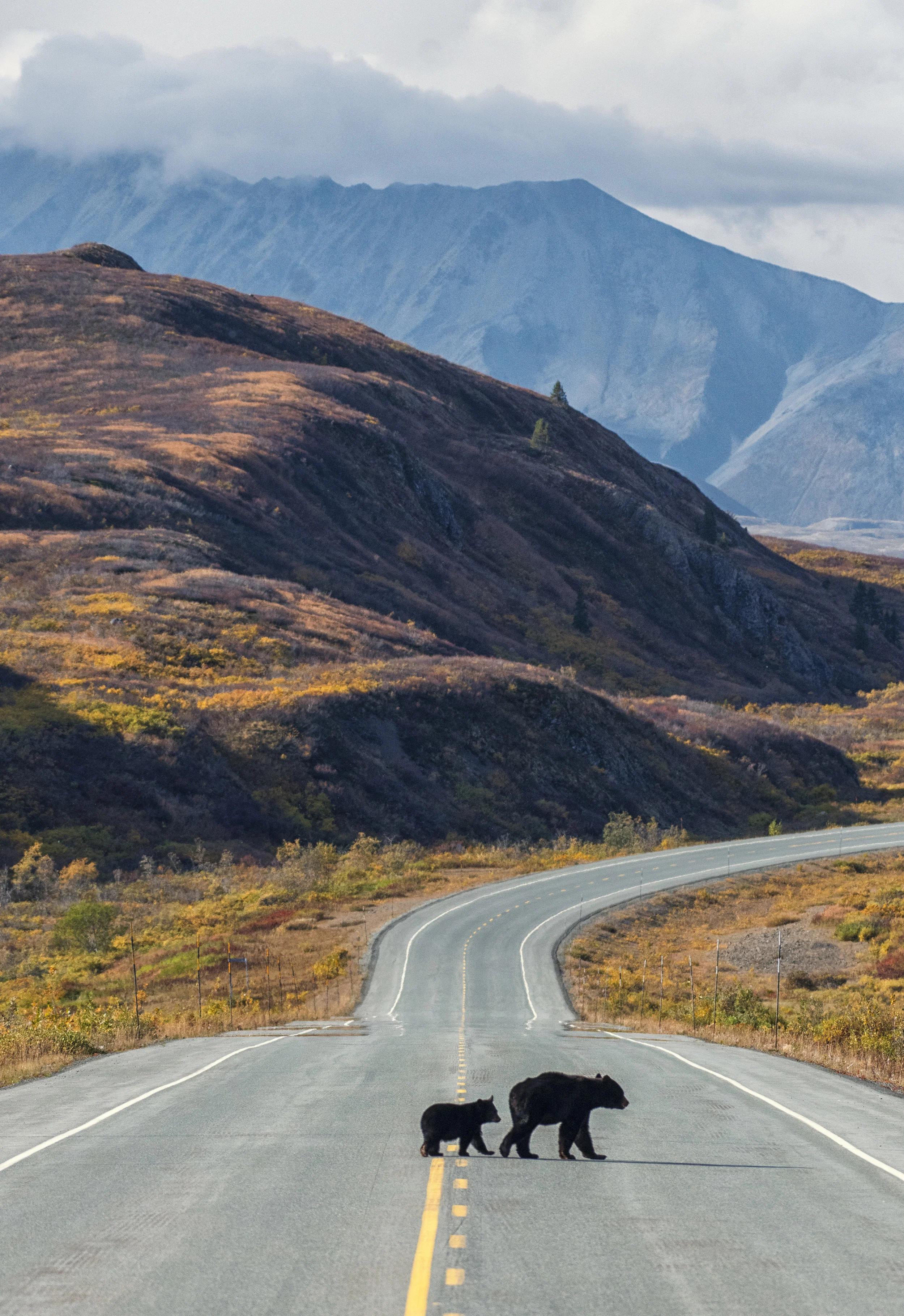 BC post card.jpg