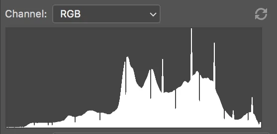 ETTR histogram.jpg
