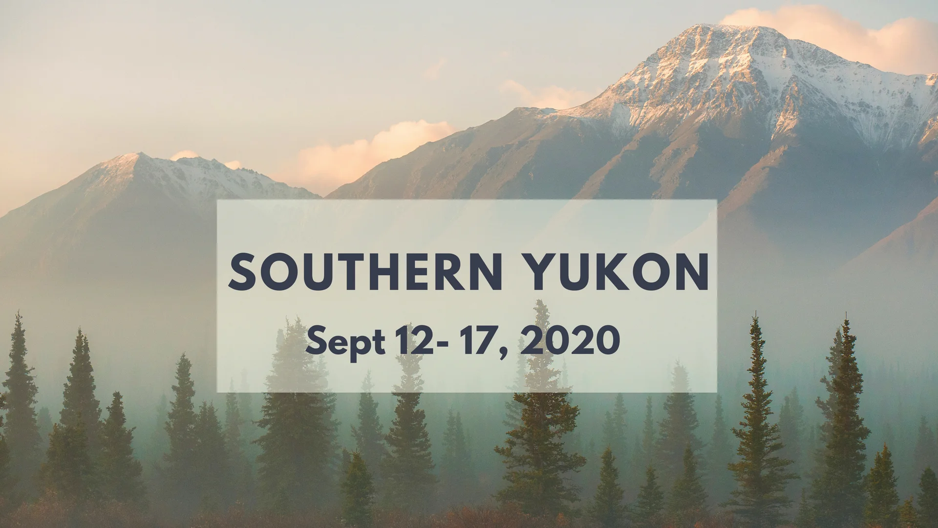 North of 49 Photography