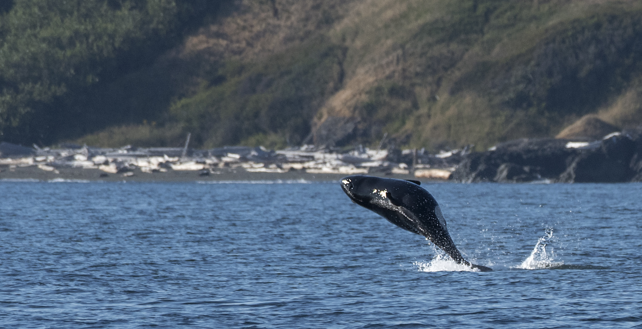 J pod photography workshops