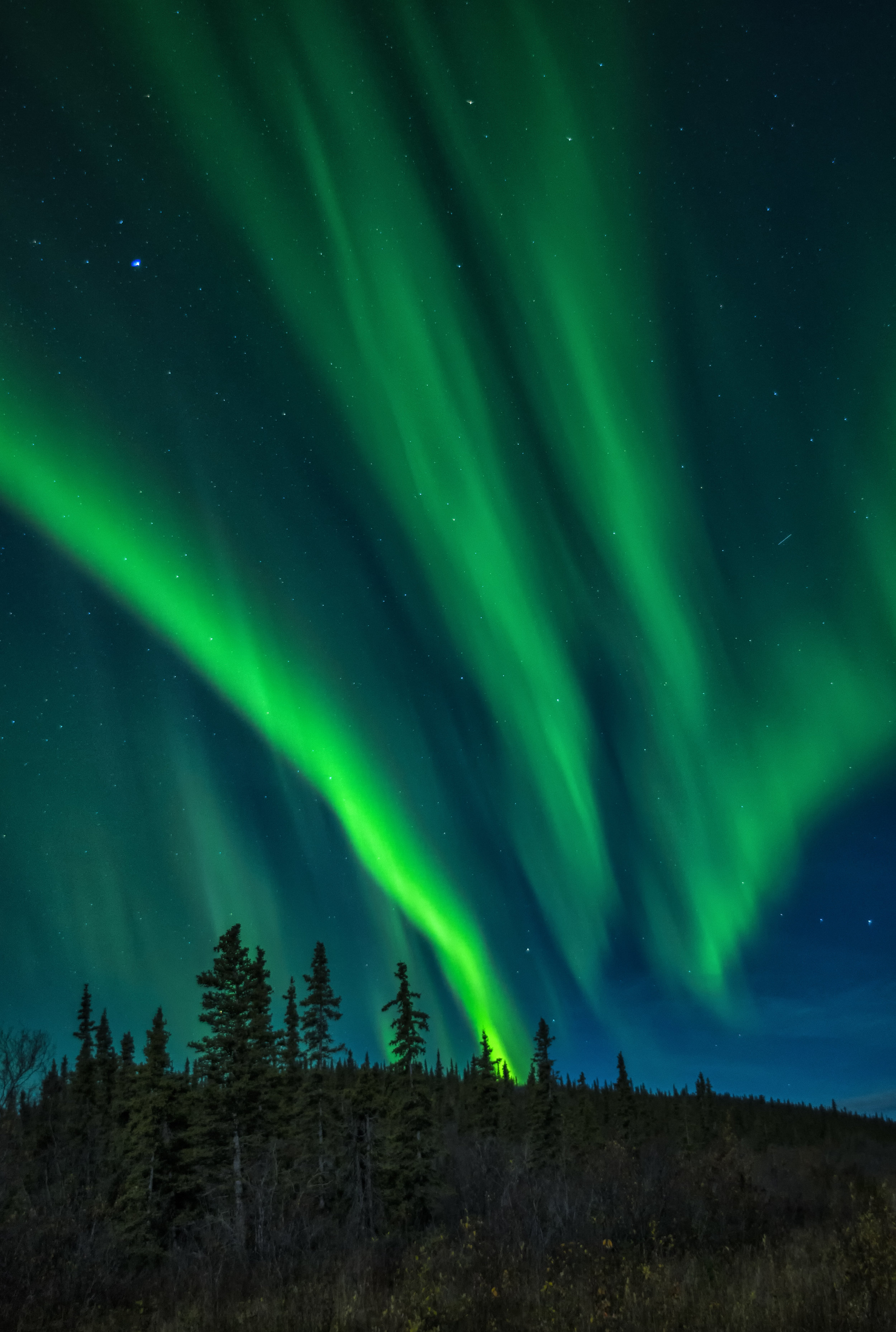 Northern lights top of the world.jpg