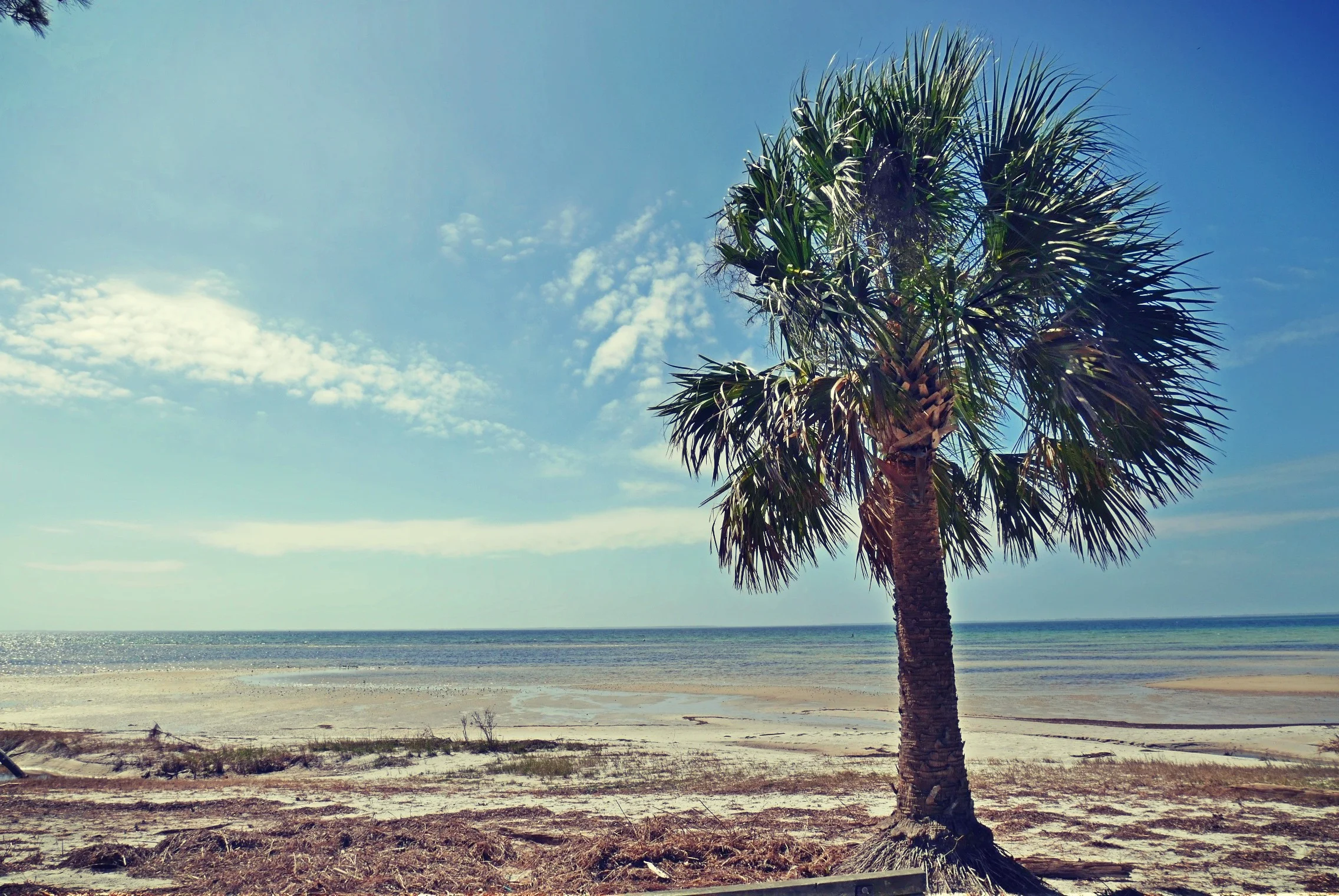 St. Joseph Bay - Port St. Joe, FL