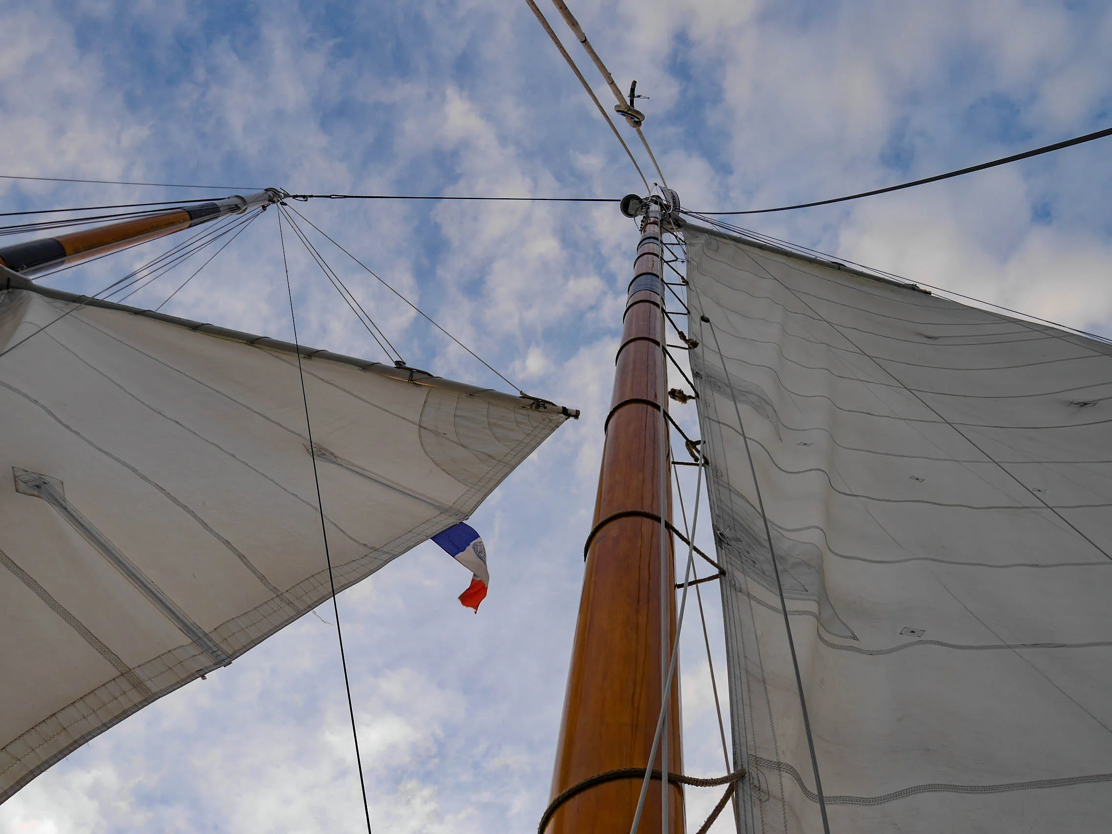 America 2.0 - Harbor Classic Lines