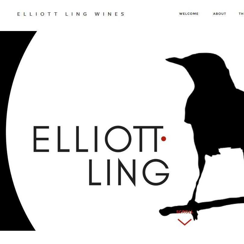 Elliott Ling.jpg