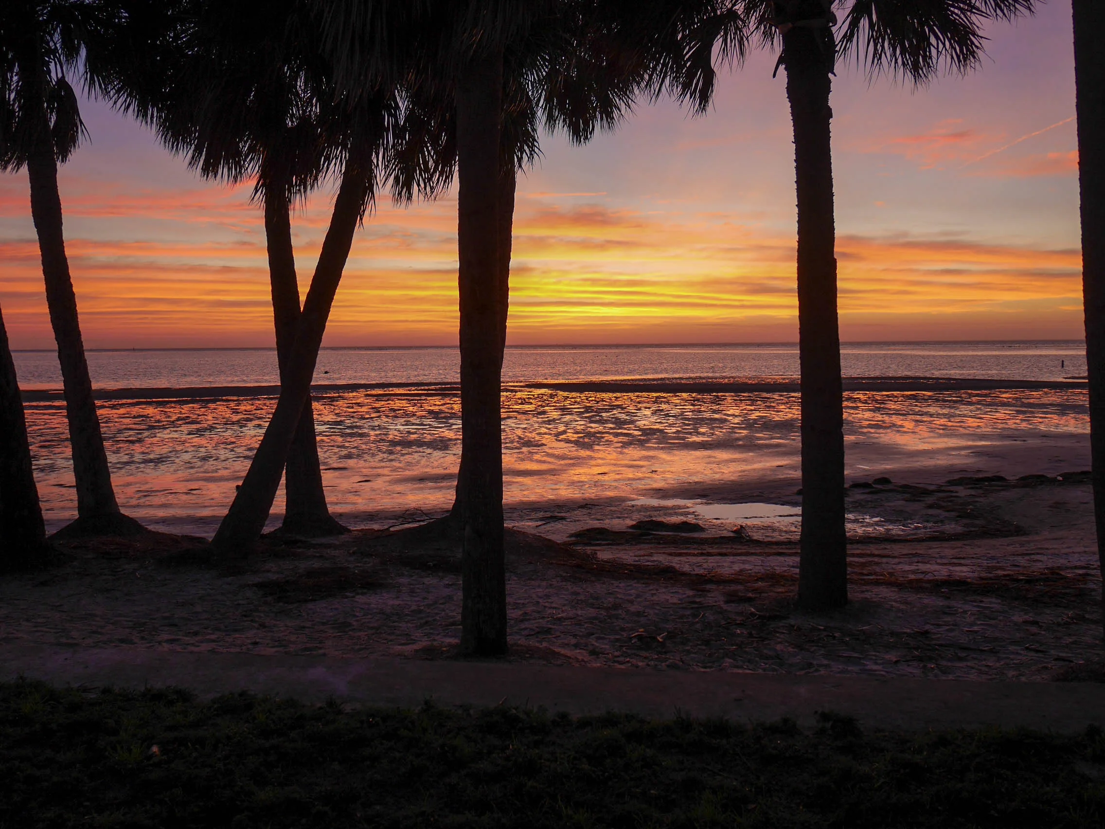 North Shore Park, St. Pete, FL
