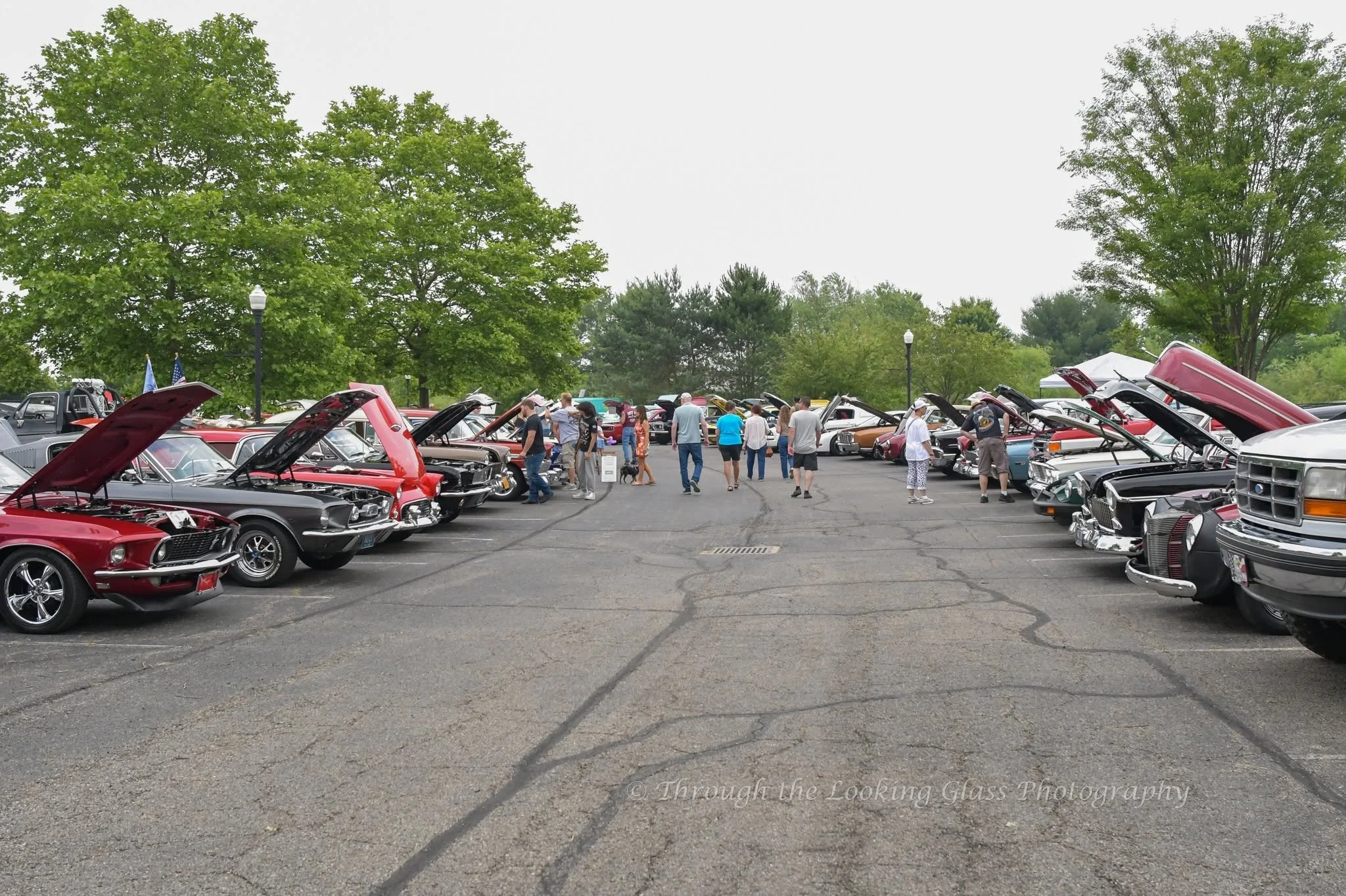 Several classic cars with open hoods on display at a car show, with people walking and viewing the vehicles, green trees, and overcast sky in the background.