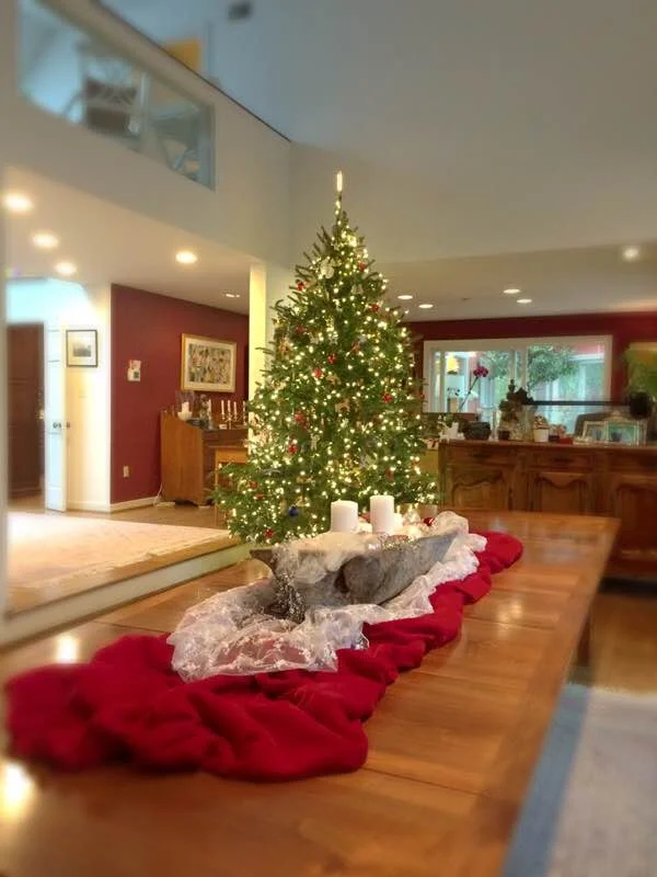 OWN Buyer's Edge Exclusive BuyersAgent.com MD, DC, VA Xmas Table Beginning.jpg