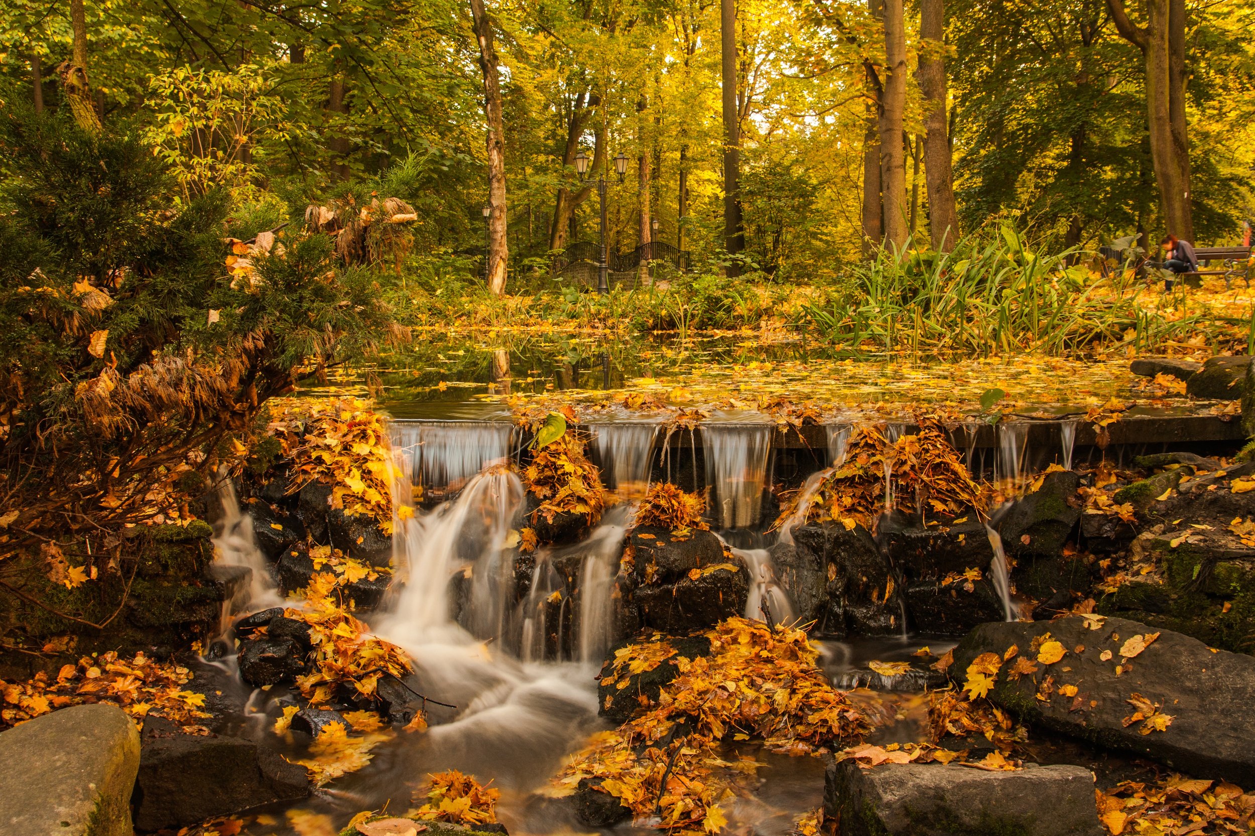 A++Free unsplash.com Buyers Edge Buyers agent VA Fall waterfall.jpeg