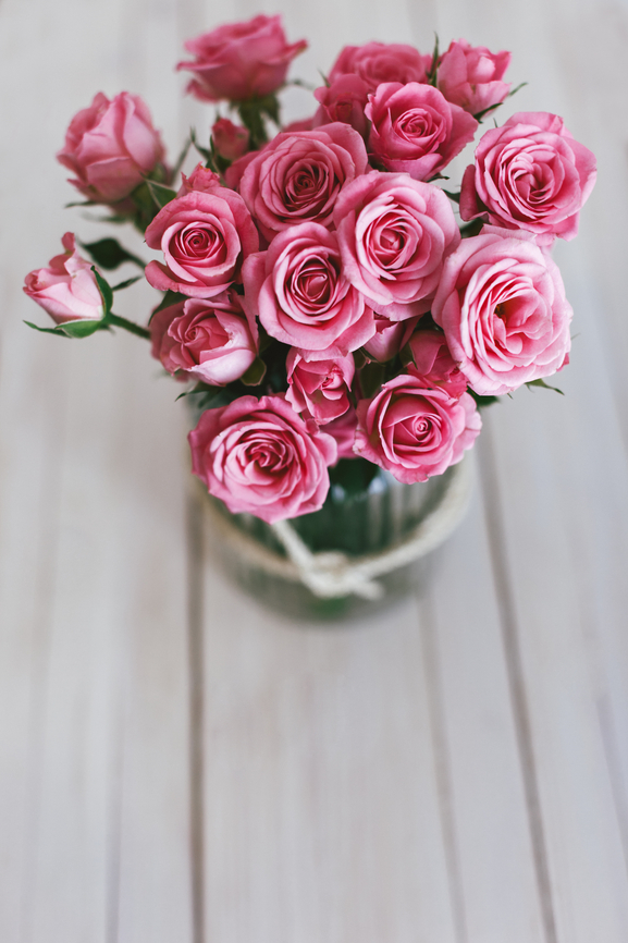 OWN ROSES in VASE Stocksy_txpf3344ce3Mvl000_Small_532783.jpg
