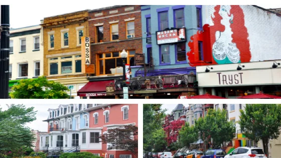 OWN Buyer's Edge Real Estate Adams Morgan DC Homes Condos for Sale.jpg