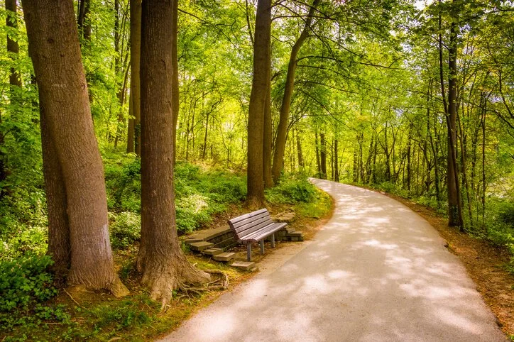 Bench along a wooded walking trail at Centennial Park in Columbia MD with tree-lined paths, nature trails, and outdoor living in Howard County Maryland