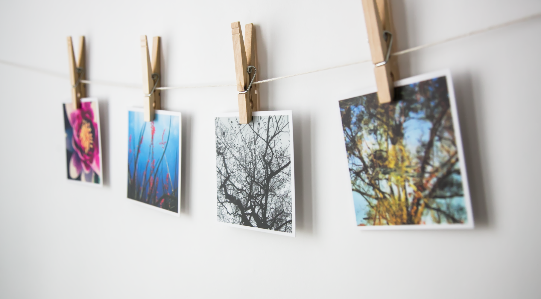 Welcome to JSP FINE ARTS