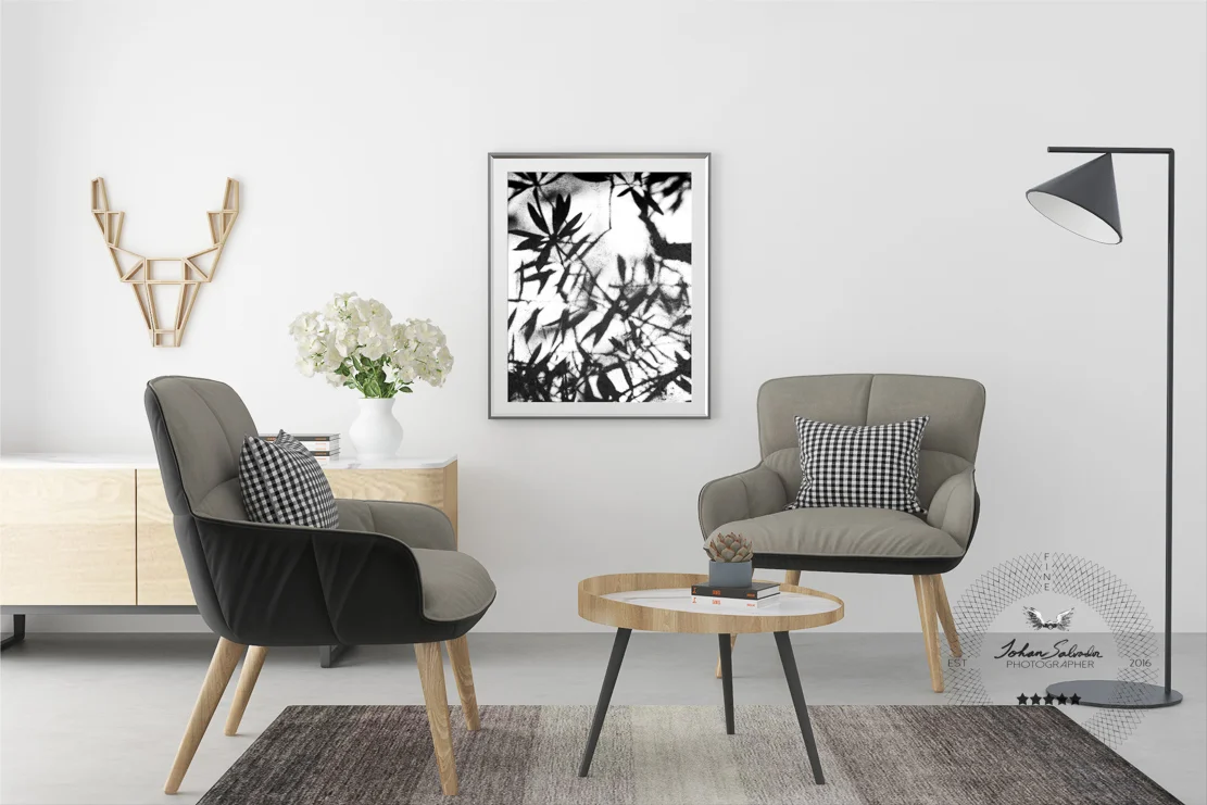 Tree Leaves on Concrete