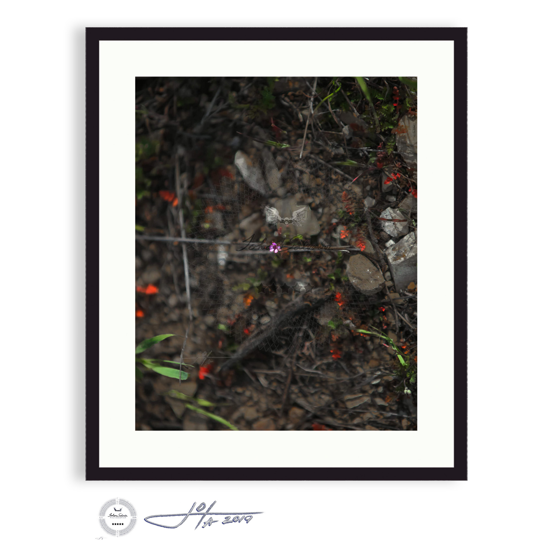 Black Frame | 16x20 | 20x24