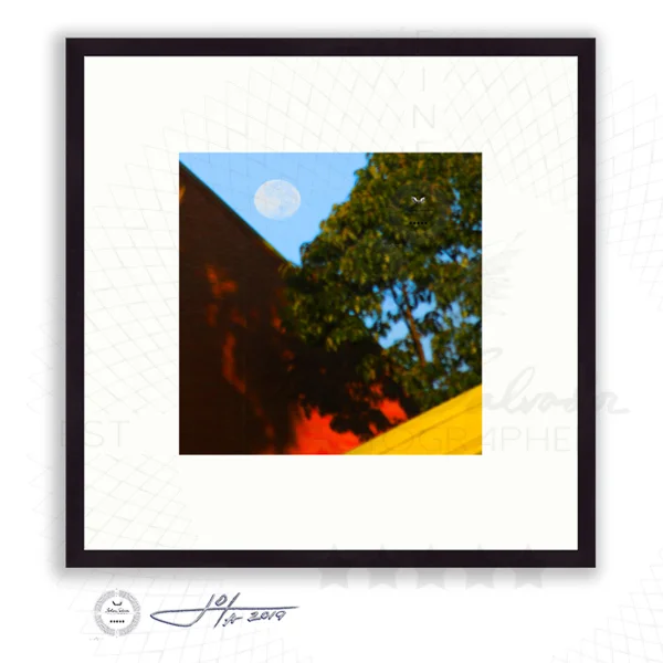 Black Frame | 16x16 | 20x20