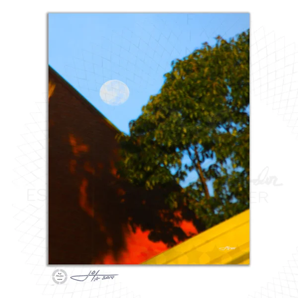 Fine Art Print | 16x20 | 24x30 | 40x50