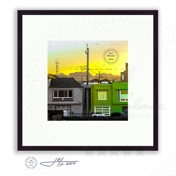 Black Frame | 16x16 | 20x20