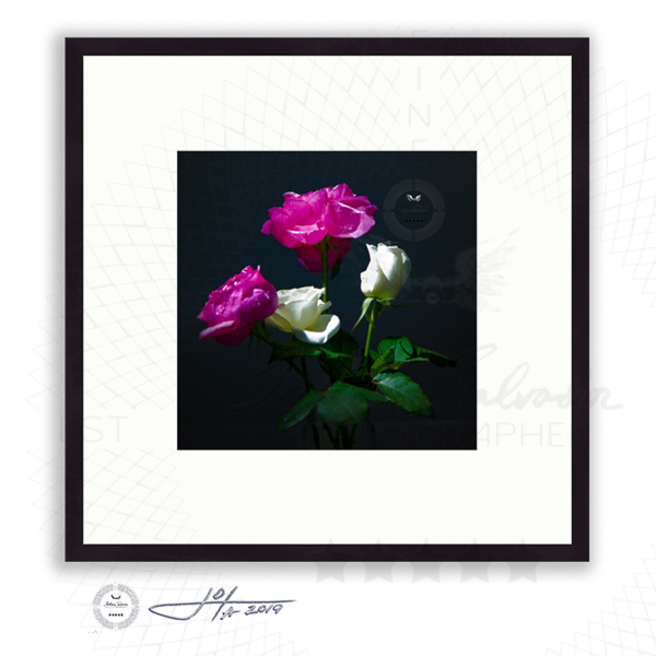 Black Frame | 16x16 | 20x20