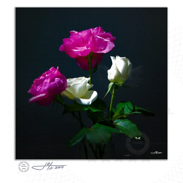 Fine Art Print | 16x16 | 20x20 | 30x30