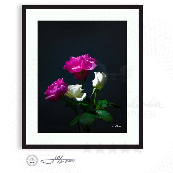 Black Frame | 16x20 | 20x24